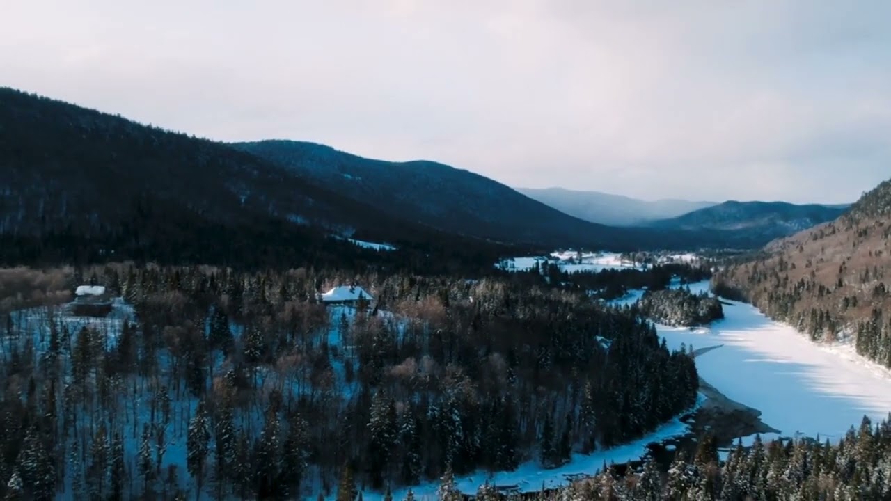 (FREE) 