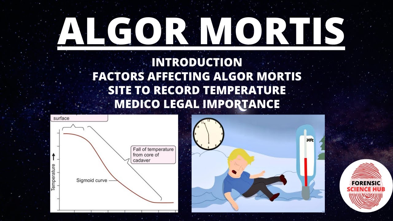 Algor mortis | Факторы, влияющие на него | График | Место для регистрации температуры | Медико-пр...