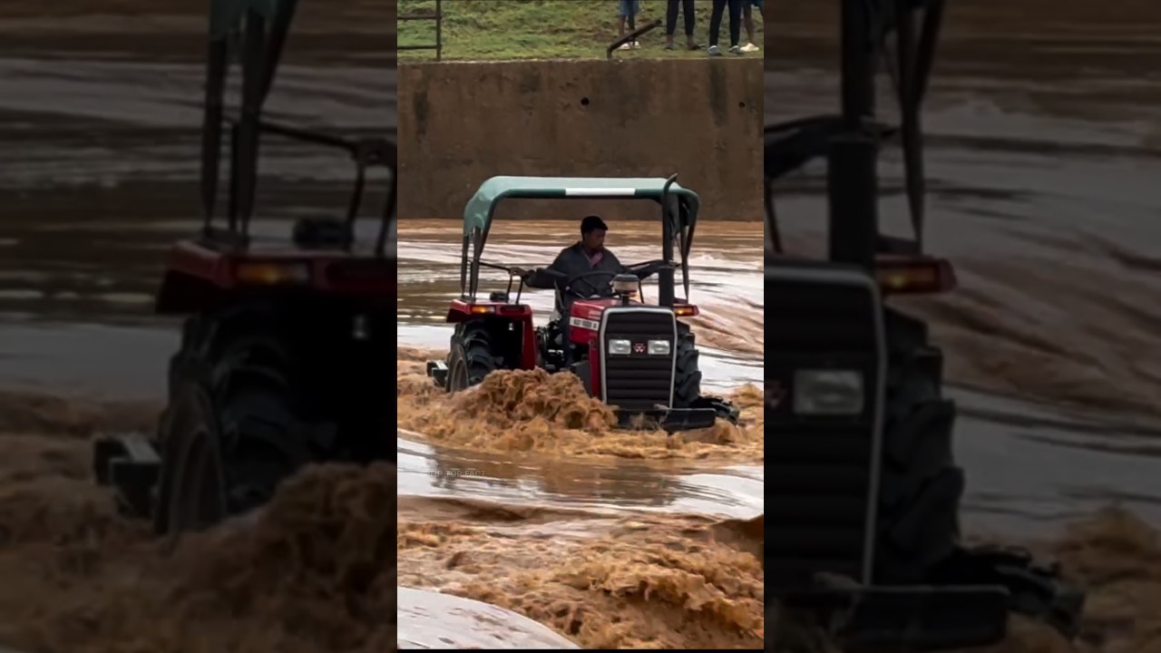 Heavy flood in Punjab ( How much damage did the floods cause in Punjab )