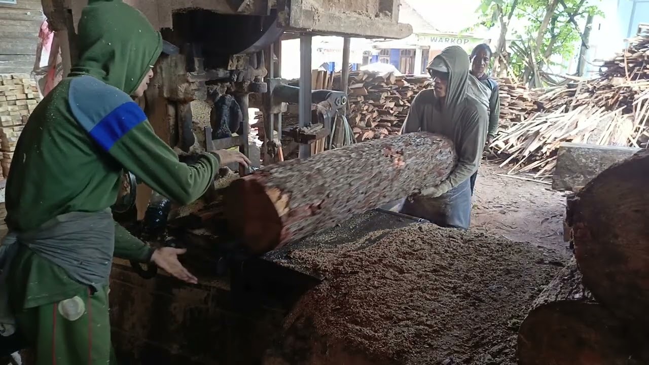 MANTAB BESAR KAYU PINUS POTONG PAPAN 