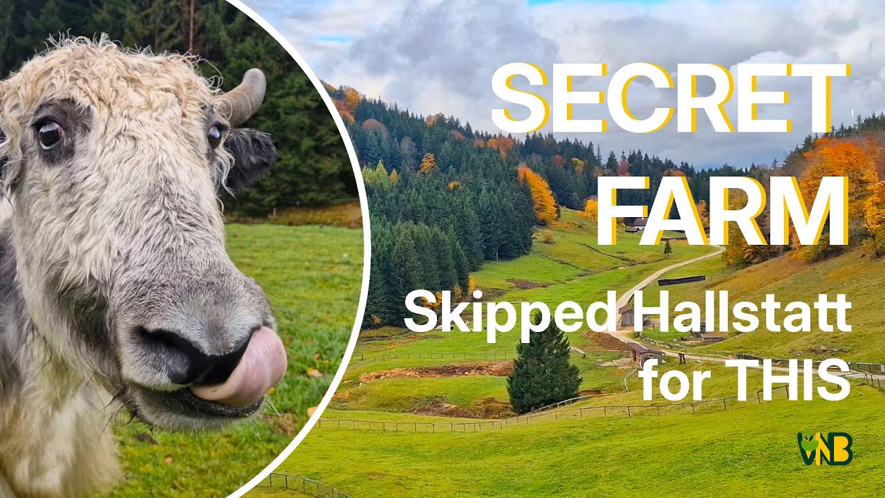 Rainy Day Hike to a Secret Farm: Skipping Hallstatt for this Hidden Gem