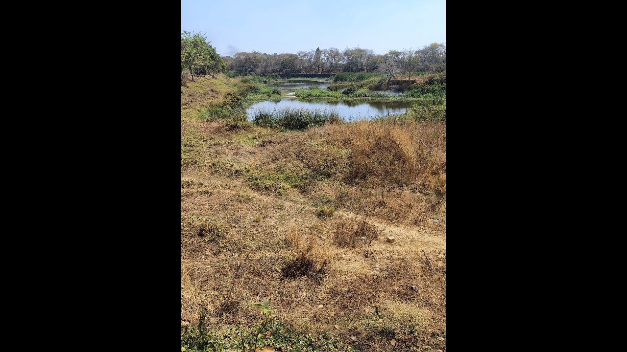 Kallabalu lake, Jigani Bengaluru