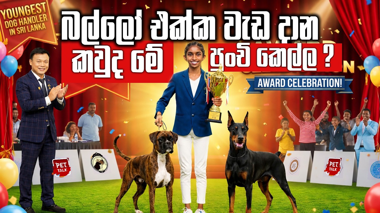 ගෙදර බල්ලෝ 18යි - ලොකු අය ඉදිරියේ වැඩ දාන අවුරුදු 10 පුංචි කෙල්ල | Pet Talk