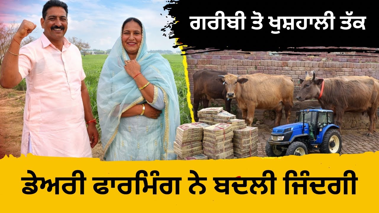 ਗਰੀਬੀ ਤੋਂ ਖੁਸ਼ਹਾਲੀ ਤੱਕ,Dairy Farming ਨੇ ਬਦਲੀ ਜ਼ਿੰਦਗੀ , ਕਾਮਯਾਬੀ ਦੀ ਸੱਚੀ ਕਹਾਣੀ Dairy farm in punjab 