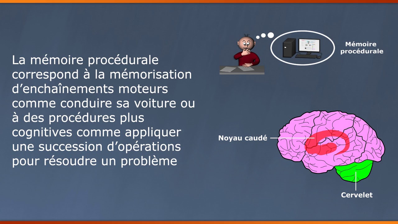 CA41 mémoire à long terme et représentation des connaissances
