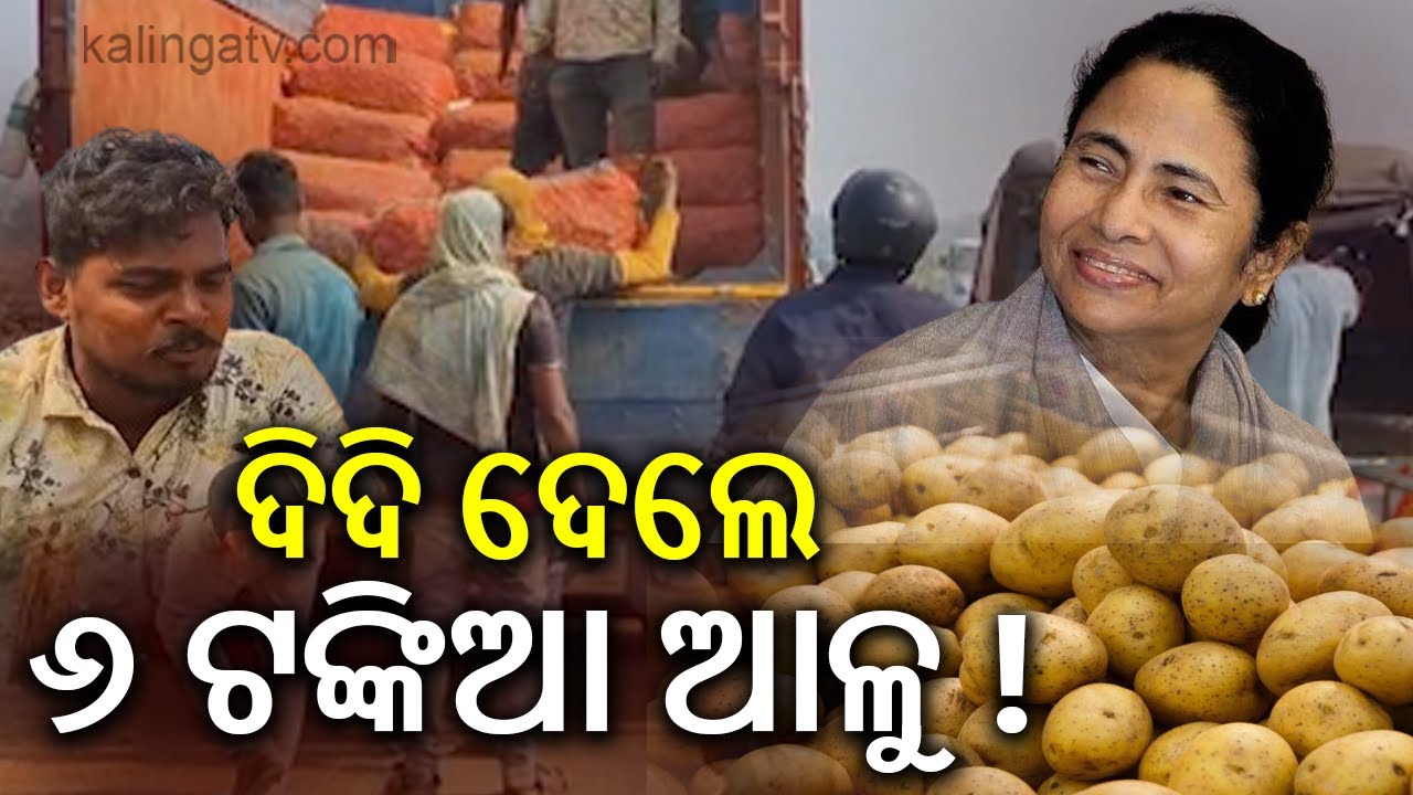ୱେଷ୍ଟବେଙ୍ଗଲରୁ ଆସିଛି, ମମତା ଦିଦି ପଠାଇଛନ୍ତି ୬ ଟଙ୍କିଆ ଆଳୁ | KalingaTV 