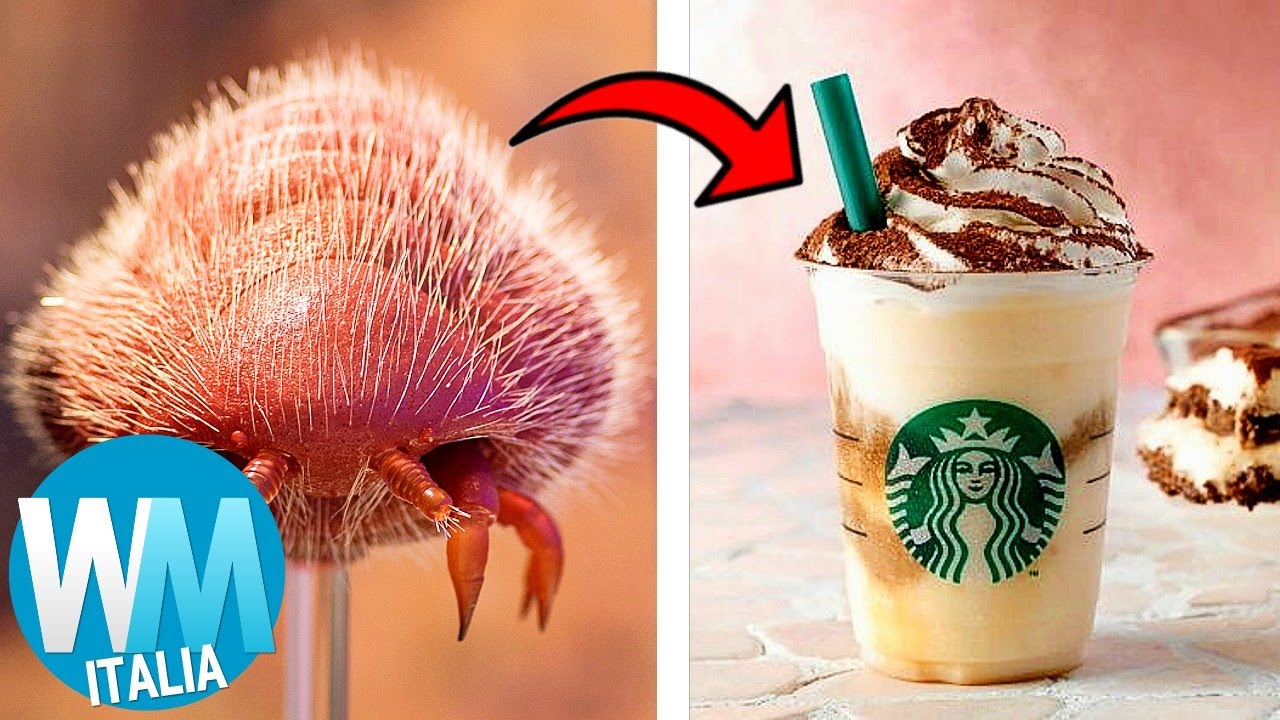 Top 10 CURIOSITÁ più SCHIFIDE sul CIBO!