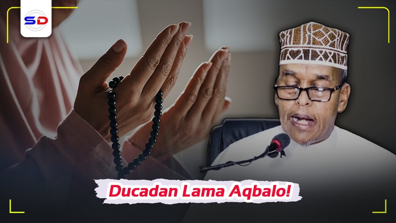 Sirta Ducada Ha Ku Degdegin Arintan ~ 4 Arimood oo Ducada u Diida Aqbalka  | Sh Maxamed Ismaaciil