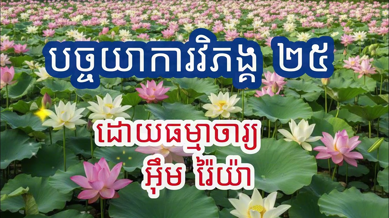 បច្ចយាការវិភង្គ ២៥ ឬបដិច្ចសមុប្បាទធម៌ សម្តែងដោយ ធម្មាចារ្យ អ៊ឹម រ៉ៃយ៉ា​ #ធម៌ទេសនា #ធម៌អប់រំជីវិត