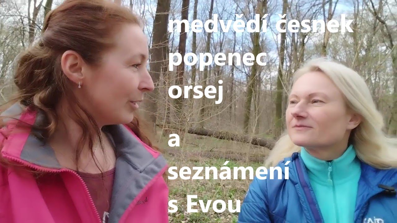 Jak nastartovat organismus po zimě aneb náš jarní detox: medvědí česnek, popenec, orsej a kopřiva