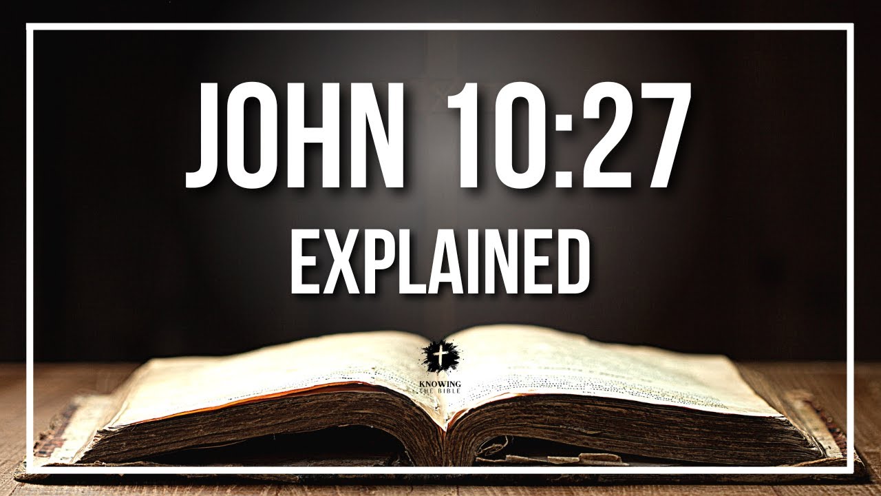 JOHN 10:27 Explained - What Does The Bible Verse JOHN 10:27 [KJV] REALLY Mean?
