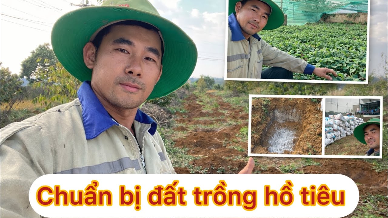   🌿 Tập 1. Các bước chuẩn bị để trồng cây hồ tiêu của e Duy .!!
