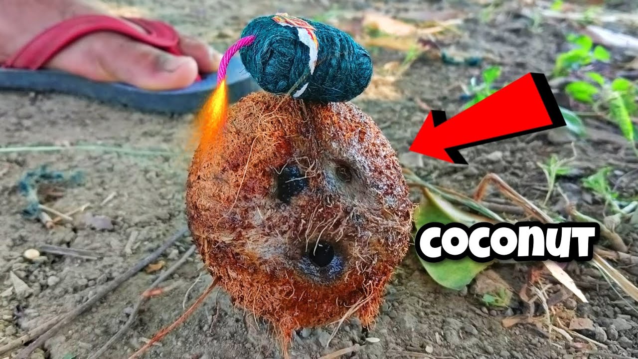 क्या सुतली बम नारियल को फोड़ देगा 🤔- sutli Vs coconut in the experiment