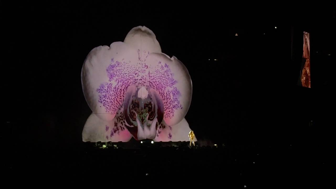 Beyoncé: The Formation Tour 2016 at M&T Bank Stadium. -Drunk In Love, Rocket & Partition-