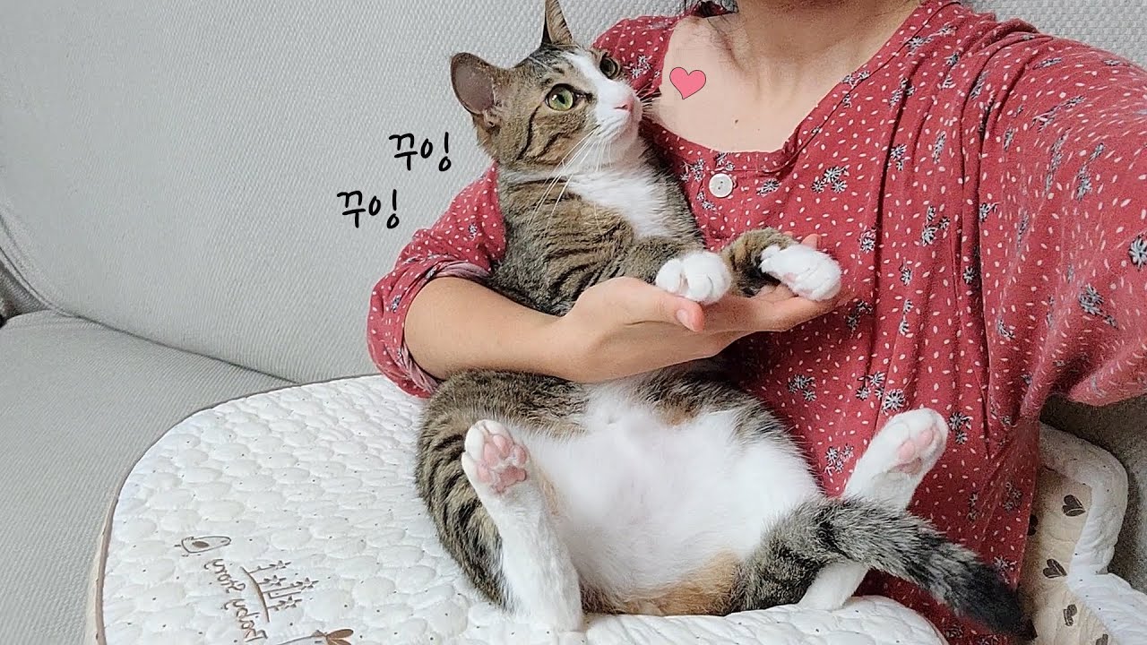 Кошка, которая думает о себе как о младенце!
