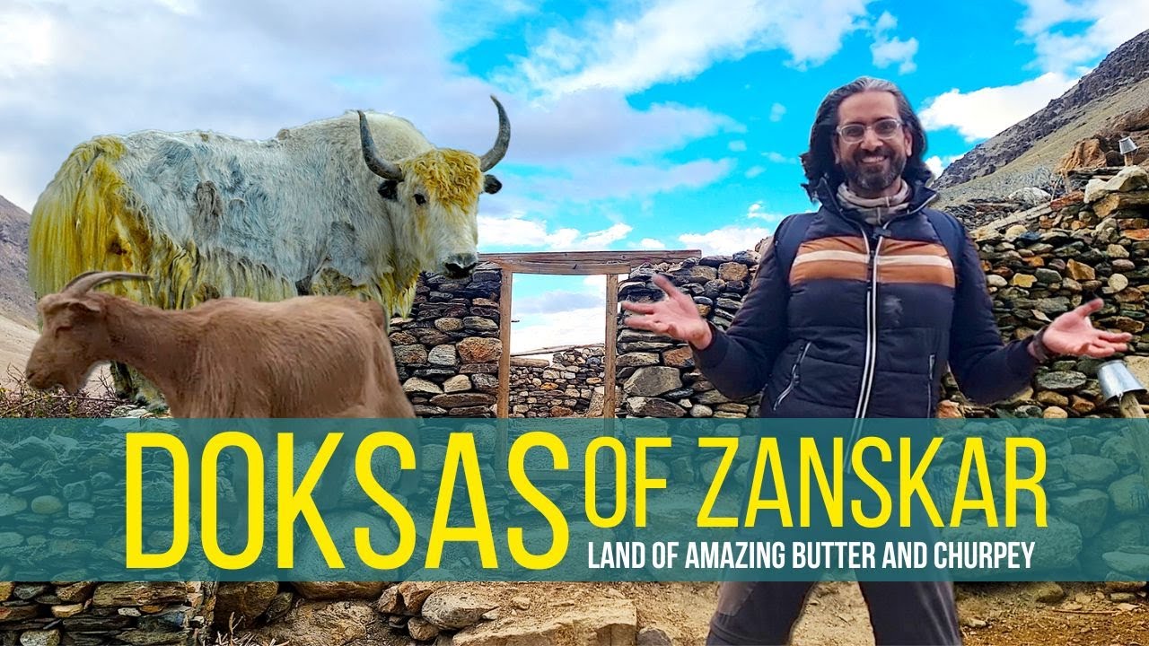 BUTTER Capital of Ladakh | Zanskar | Doksa | Curpey | Butter Tea