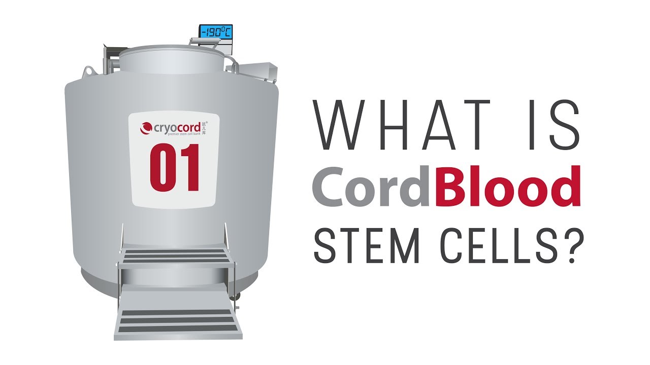 Cord Blood Stem Cells