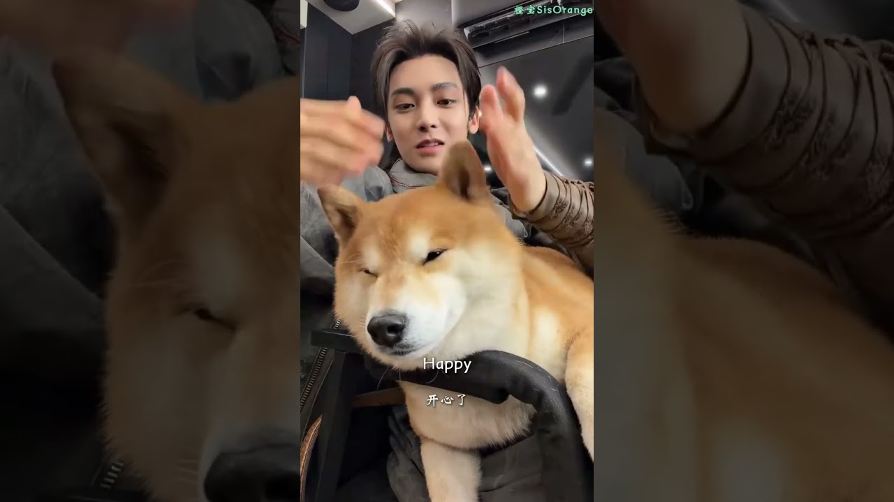 02/22/2026 | Sweet surprise! Hou MingHao popped online w/ adorable Shiba Inu Monkey! 🐱❤️🐶 - Part 2