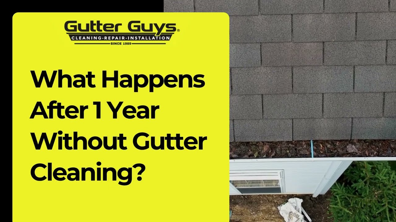 What Happens After 1 Year Without Gutter Cleaning