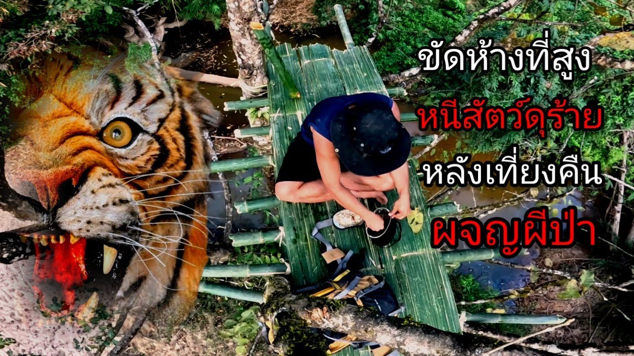 ขัดห้างหนีสัตว์ดุร้าย  มีคนเดินตะโกนเรียกใต้ห้าง ถึงกับต้องตื่นขึ้นมาส่องดู [ คน แบกเป้ ] 