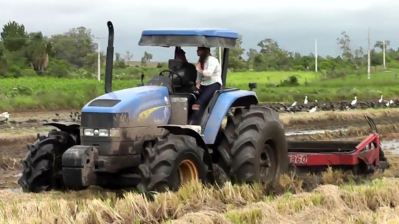 NEW HOLLAND NA LAVOURA DE ARROZ   SUL DO BRASIL