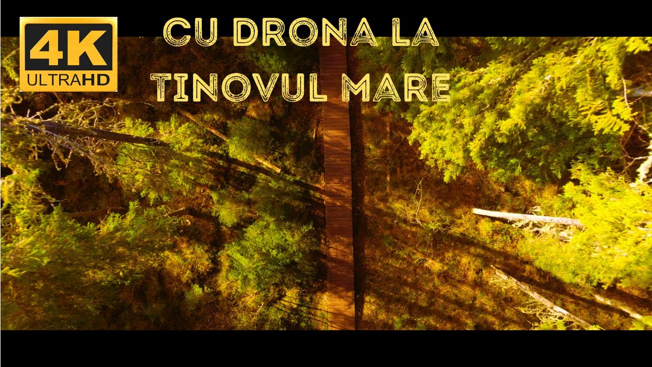 CEA MAI MARE rezervatie (mlastina) de turba din Romania | Tinovul Mare | Drona [4K] | Travel video
