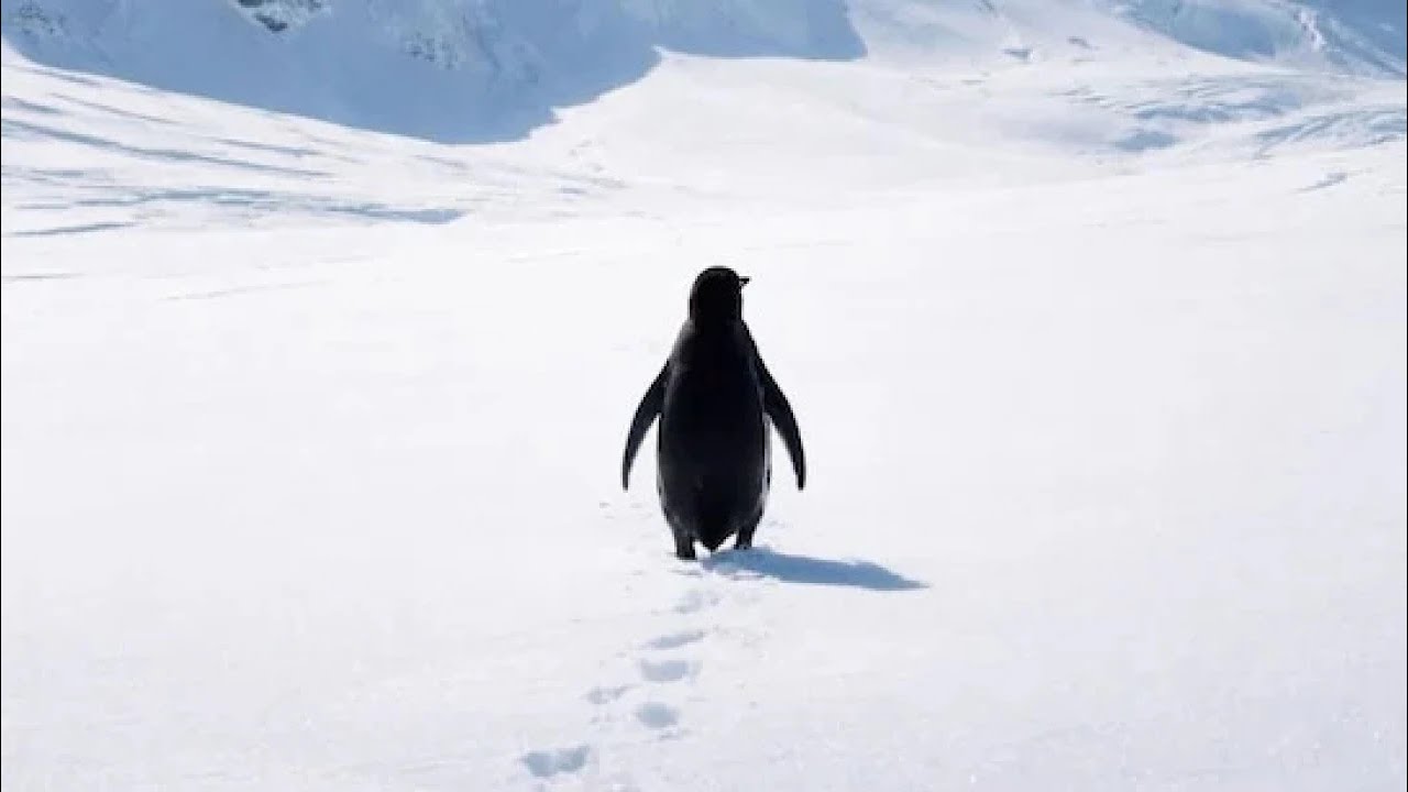 NİHİLİST PENGUEN: BEN'İN ÖYKÜSÜ