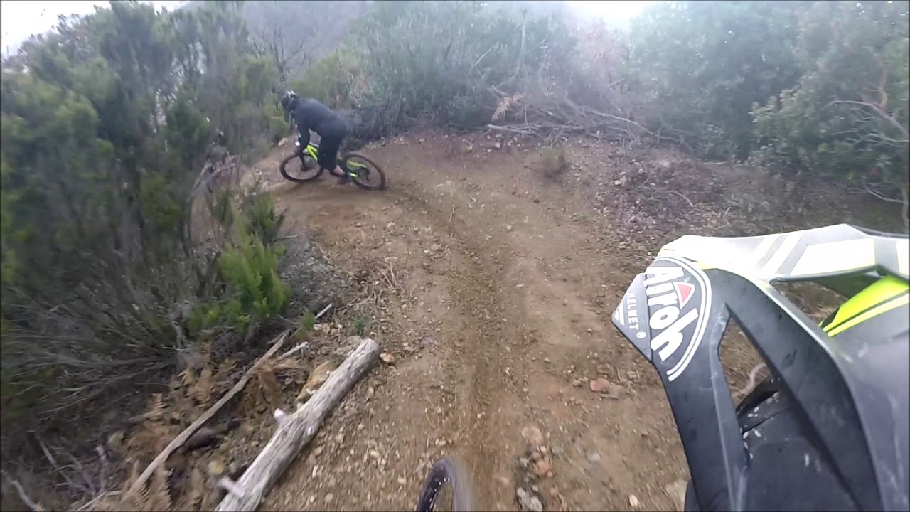 Conca verde Trail Curlo
