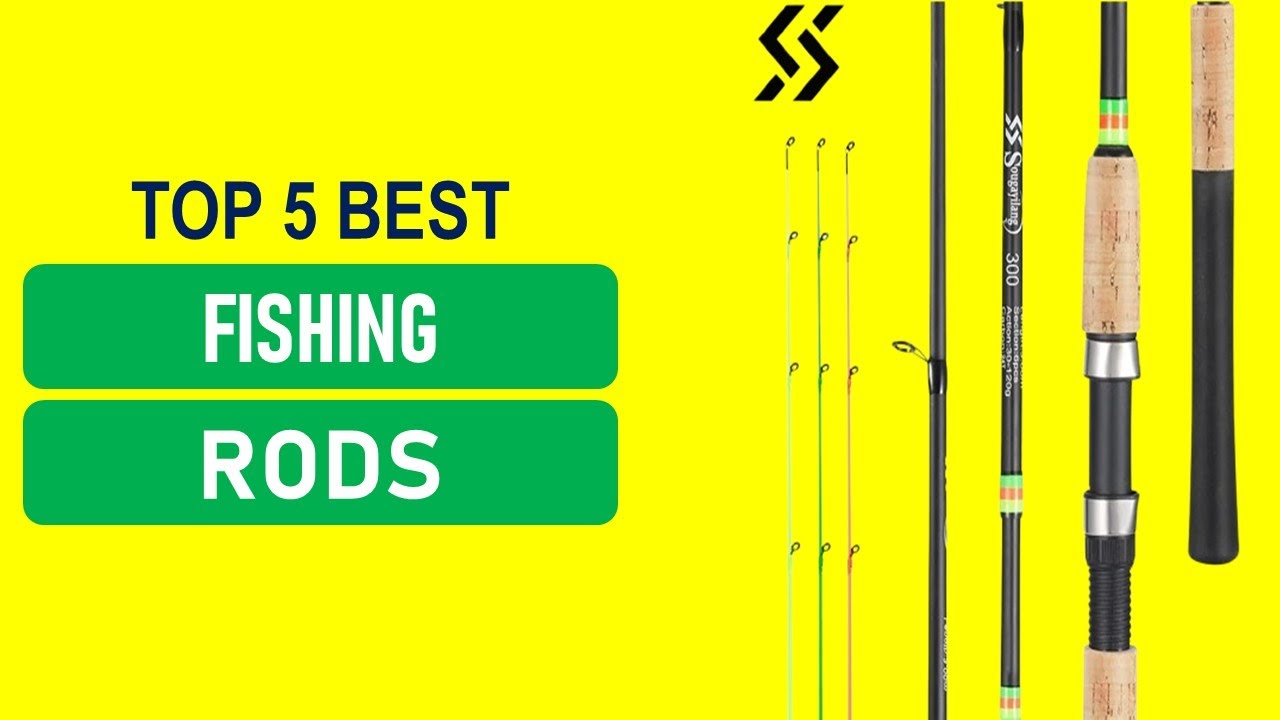Best Budget Fishing Rods 2026