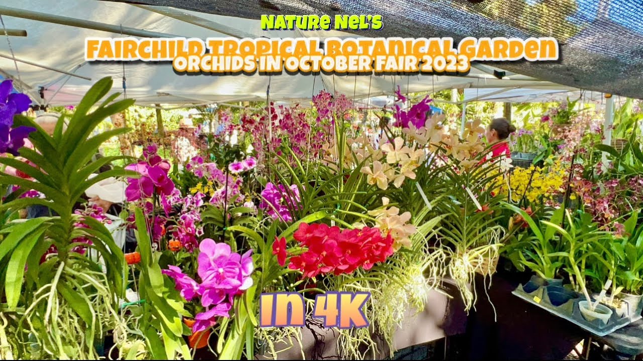 4K ORCHIDS EVERYWHERE!  Best botanical garden in South Florida, Fairchild Tropical Botanical Garden.