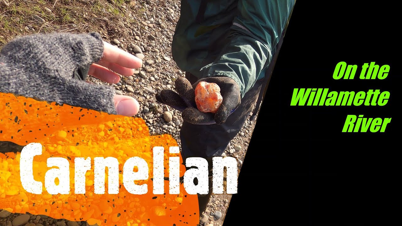Willamette River | Carnelian, Agates, and Jasper