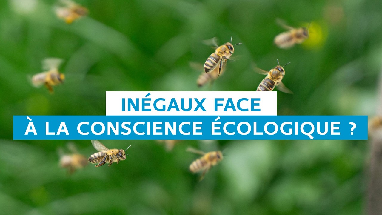 Webinaire : Inégaux face à la conscience écologique ?