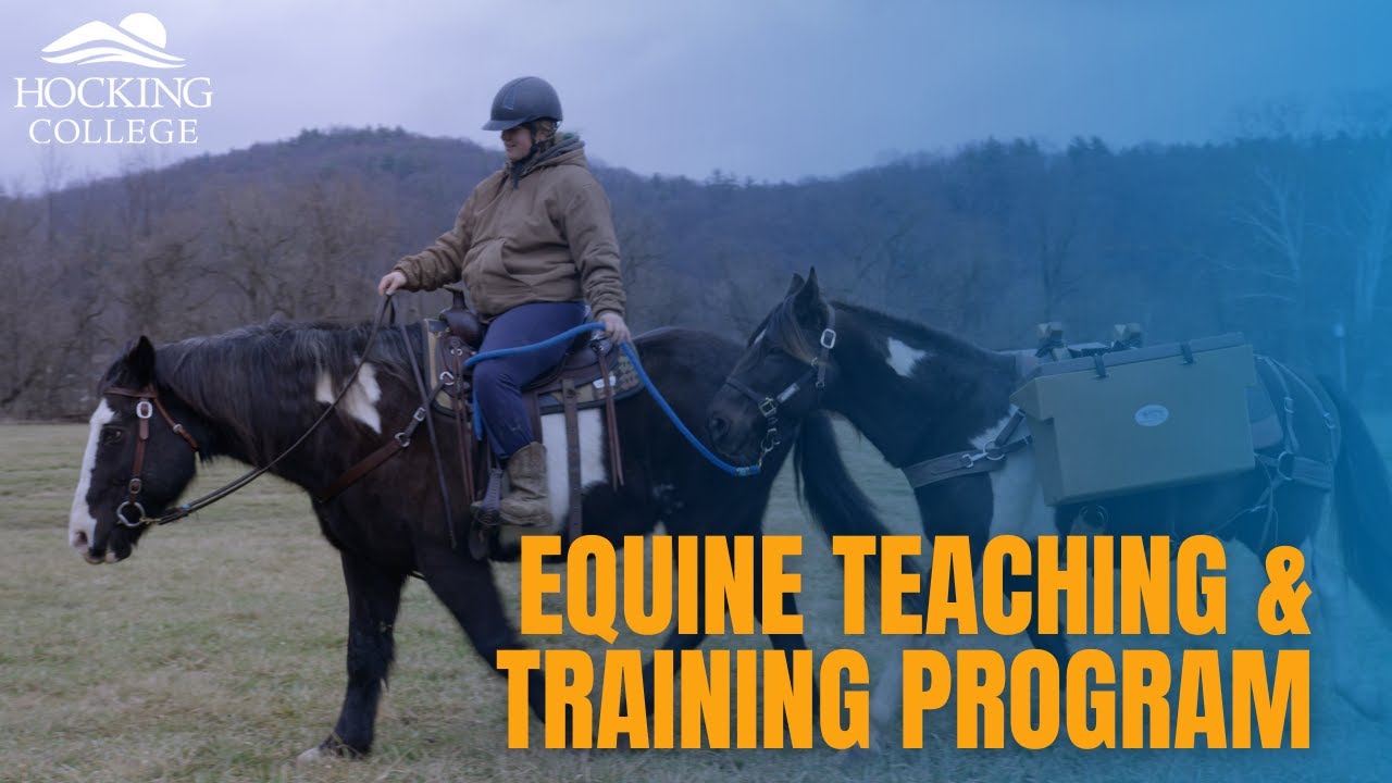 Equine Teaching and Training Program
