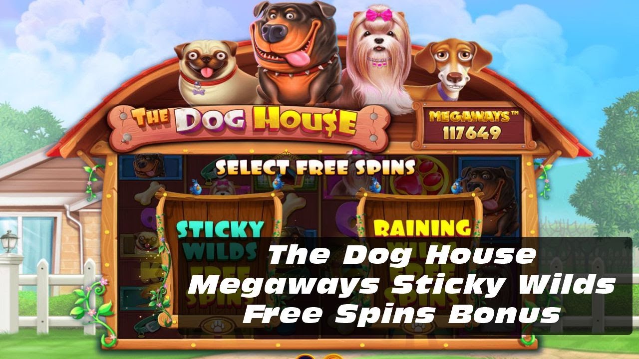 Nice Win with Sticky Wilds Free Spins Feature &ndash; The Dog House Megaways Slot Game