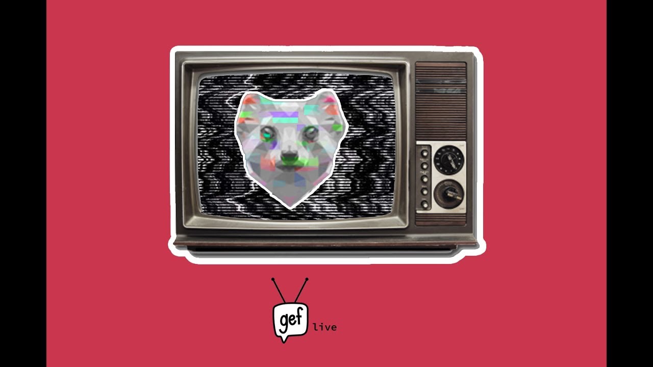 Gef the Mongoose Live Stream