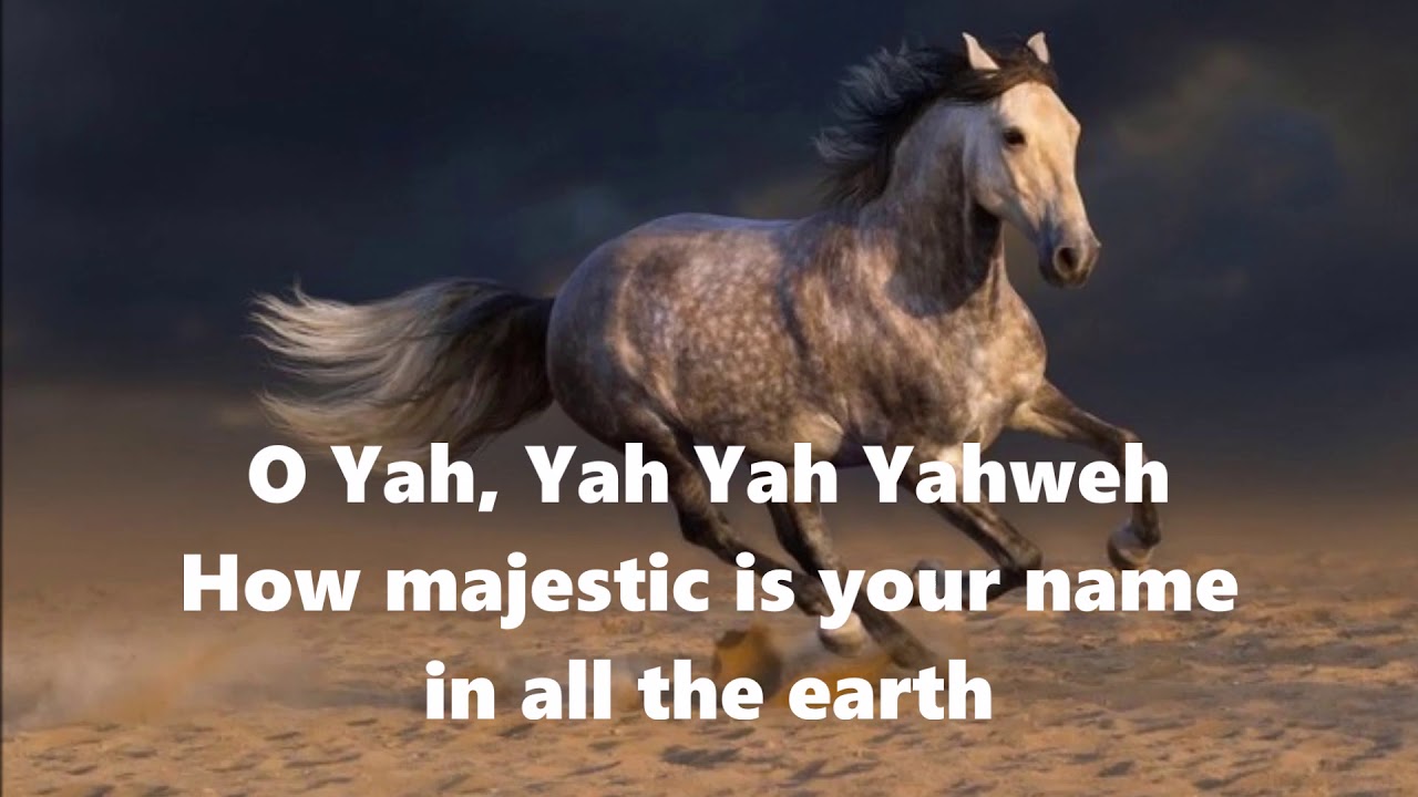 Oh Yah! Messianic Reggae praise from Psalm 8, Lyric Video, WOW!