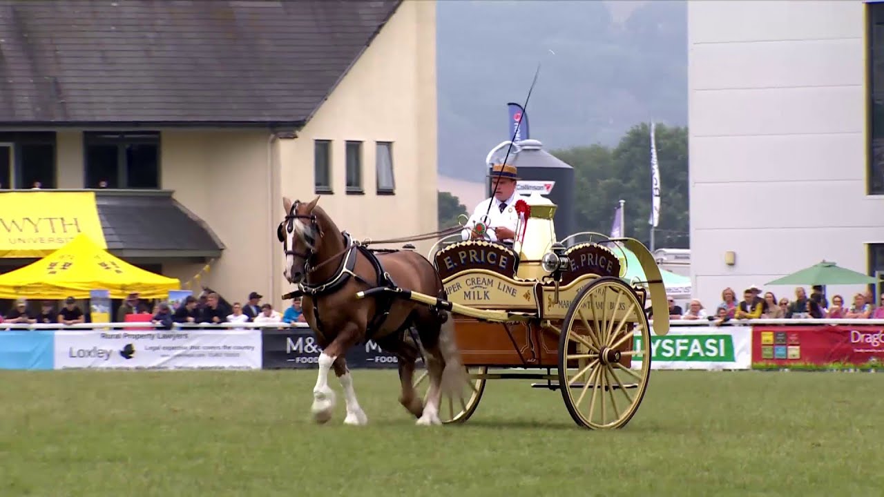 Pencampwriaeth Gyrru Cymru | Welsh Driving Championship