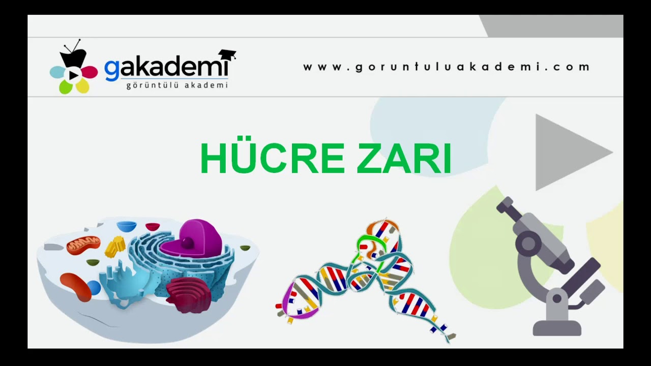 Teknomektep 9.Sınıf Biyoloji (Hücre Konusu)