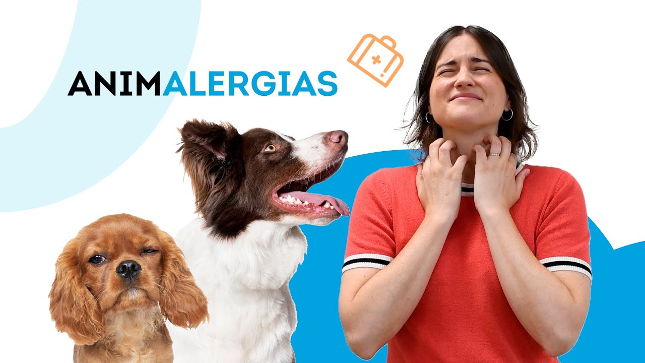 😷 ALERGIA a los PERROS · Síntomas y tratamiento 🐶