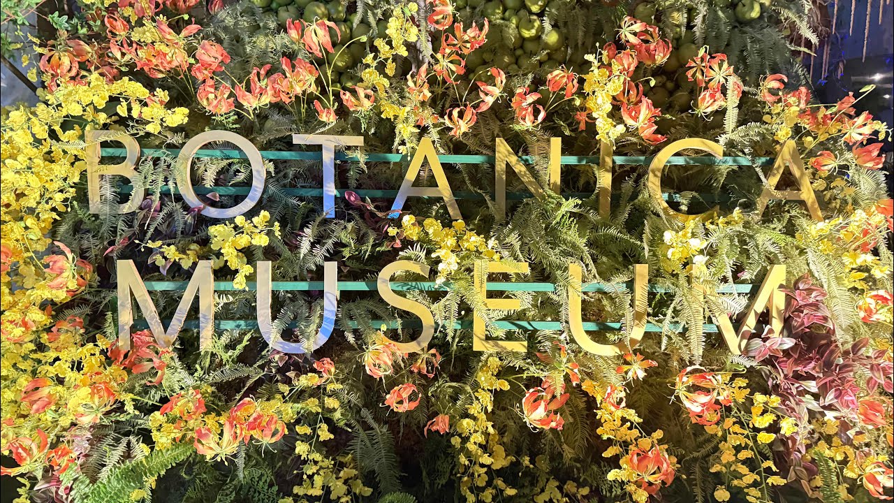 Botanical Museum at night in Chiba Japan 