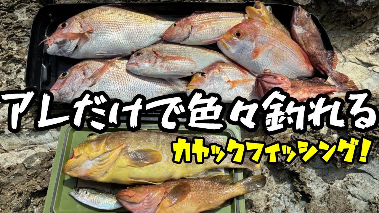 初場所でもやっぱりアレが強い！カヤックフィッシング＠釣りに行こうか