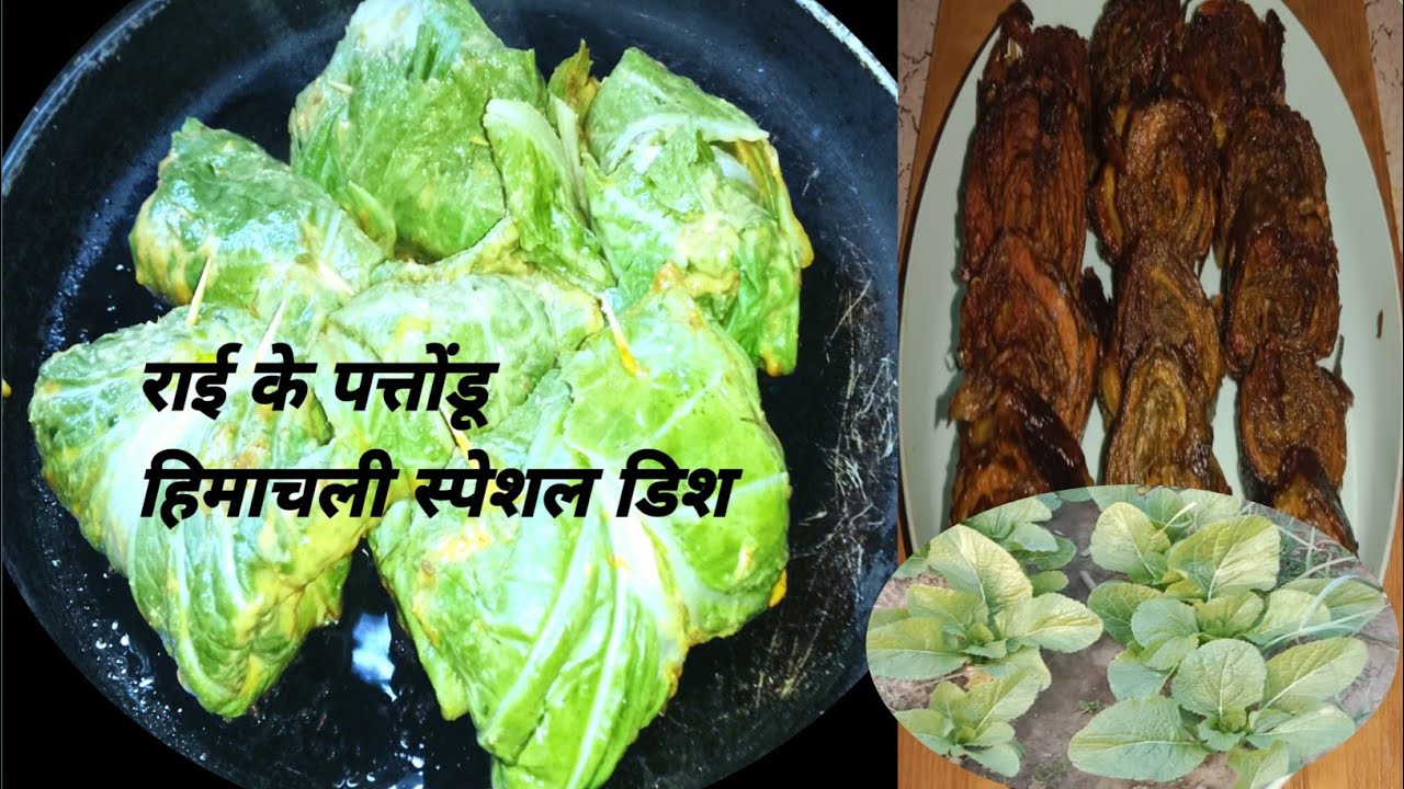 हिमाचल स्पेशल डिश राई के पत्तोंडू ll Rae ke Patore ll