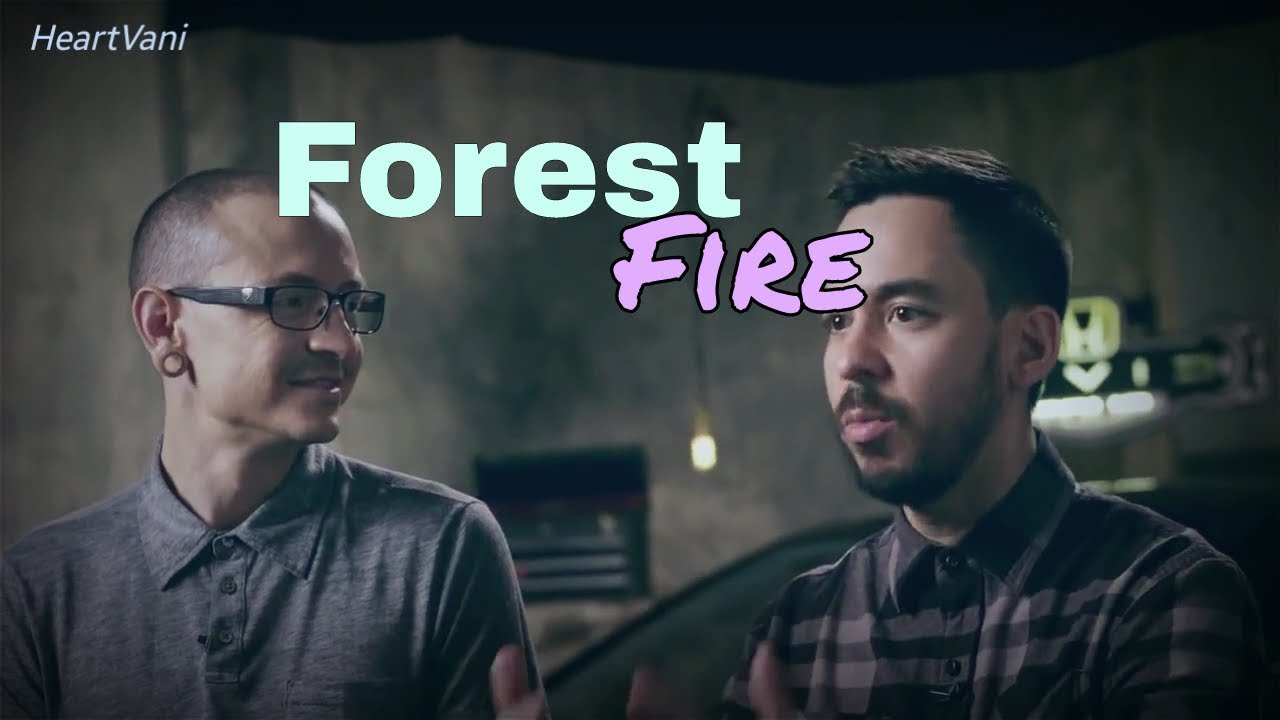 Bennoda || Forest Fire