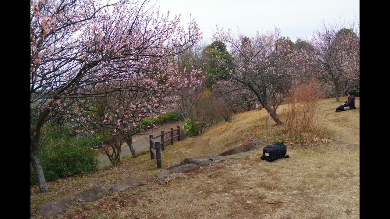 2026/02/14 本郷ふじやま公園