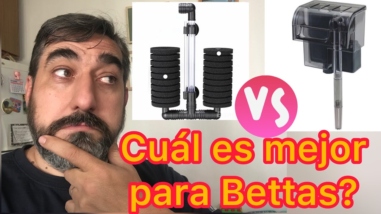 Para que sirve el filtro de esponja para el pez betta