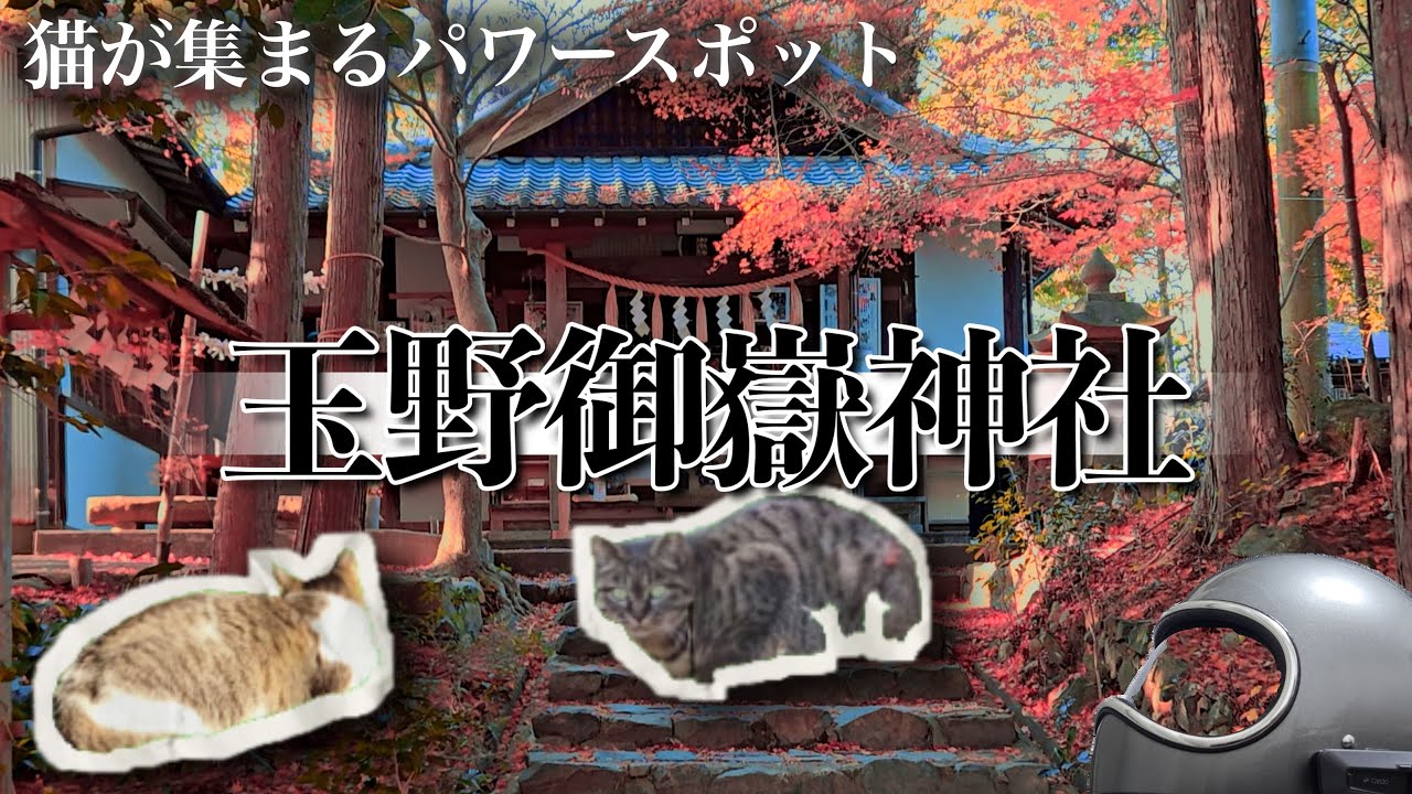 【正直ナメてた】バイクで行ったら想像以上だった玉野御嶽神社