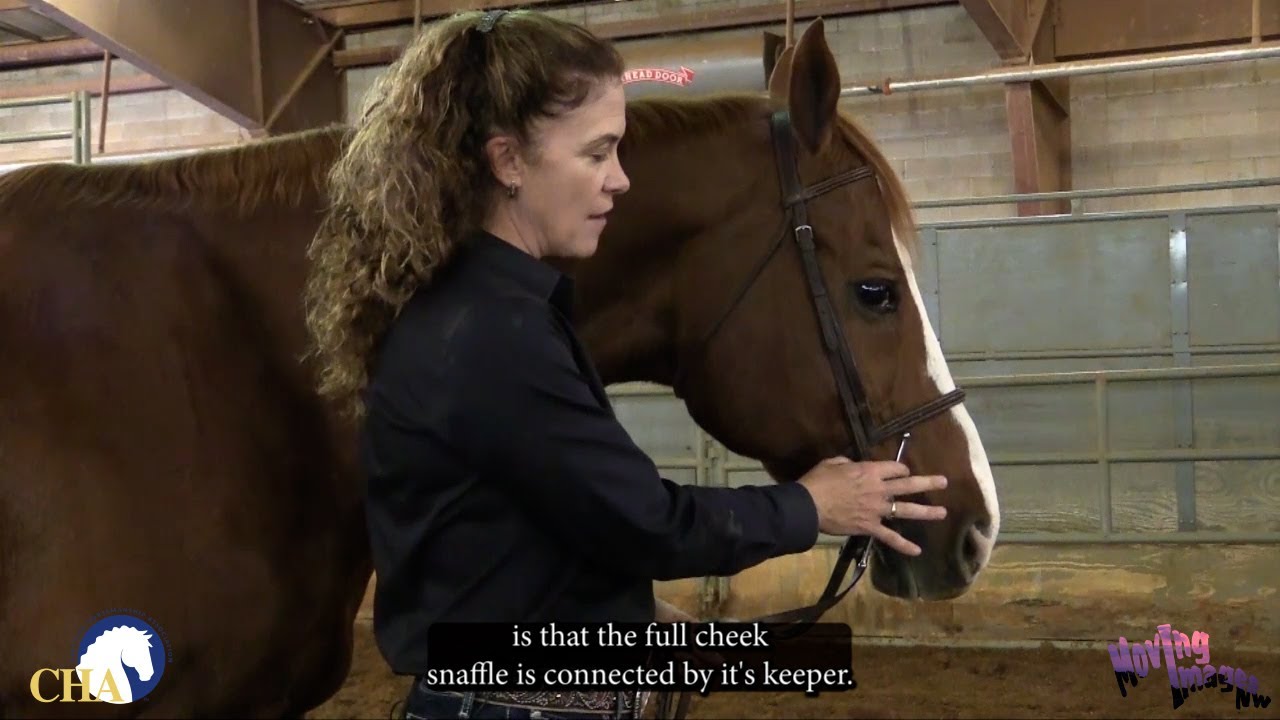 Proper Bit Adjustment with Christy Landwehr