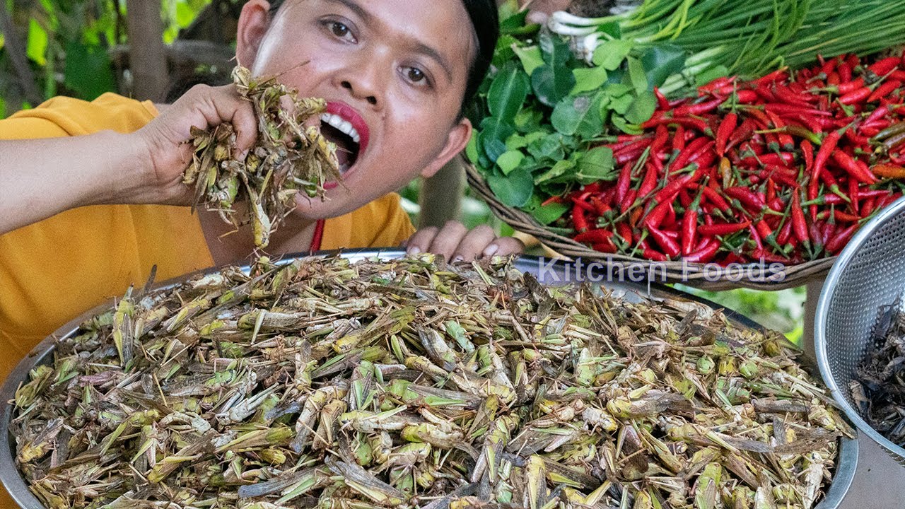 Delicious Cooking Locust Recipe - Deep Fried Crispy Grasshopper with Spicy Chilli in Village