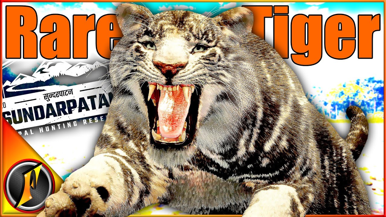 На нас напал РЕДКИЙ ТИГР! Мы его выследили! | theHunter Зов дикой природы