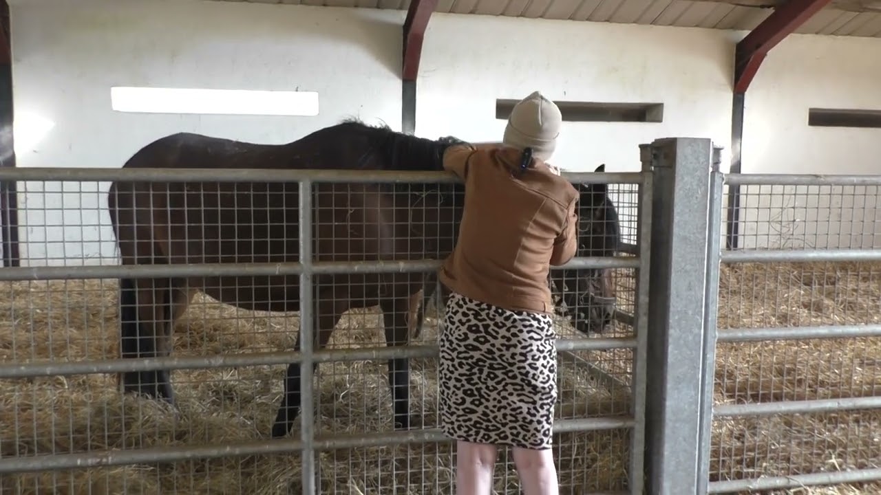 The Irish National Stud 2025 Season, 2025-04-03 Thursday, video 5